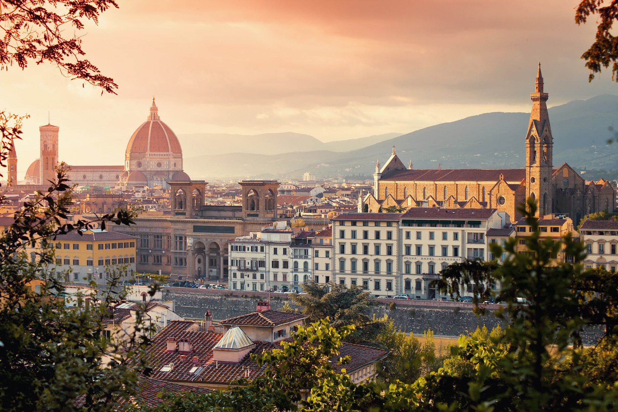 attivita_navetta-firenze4-min.jpg